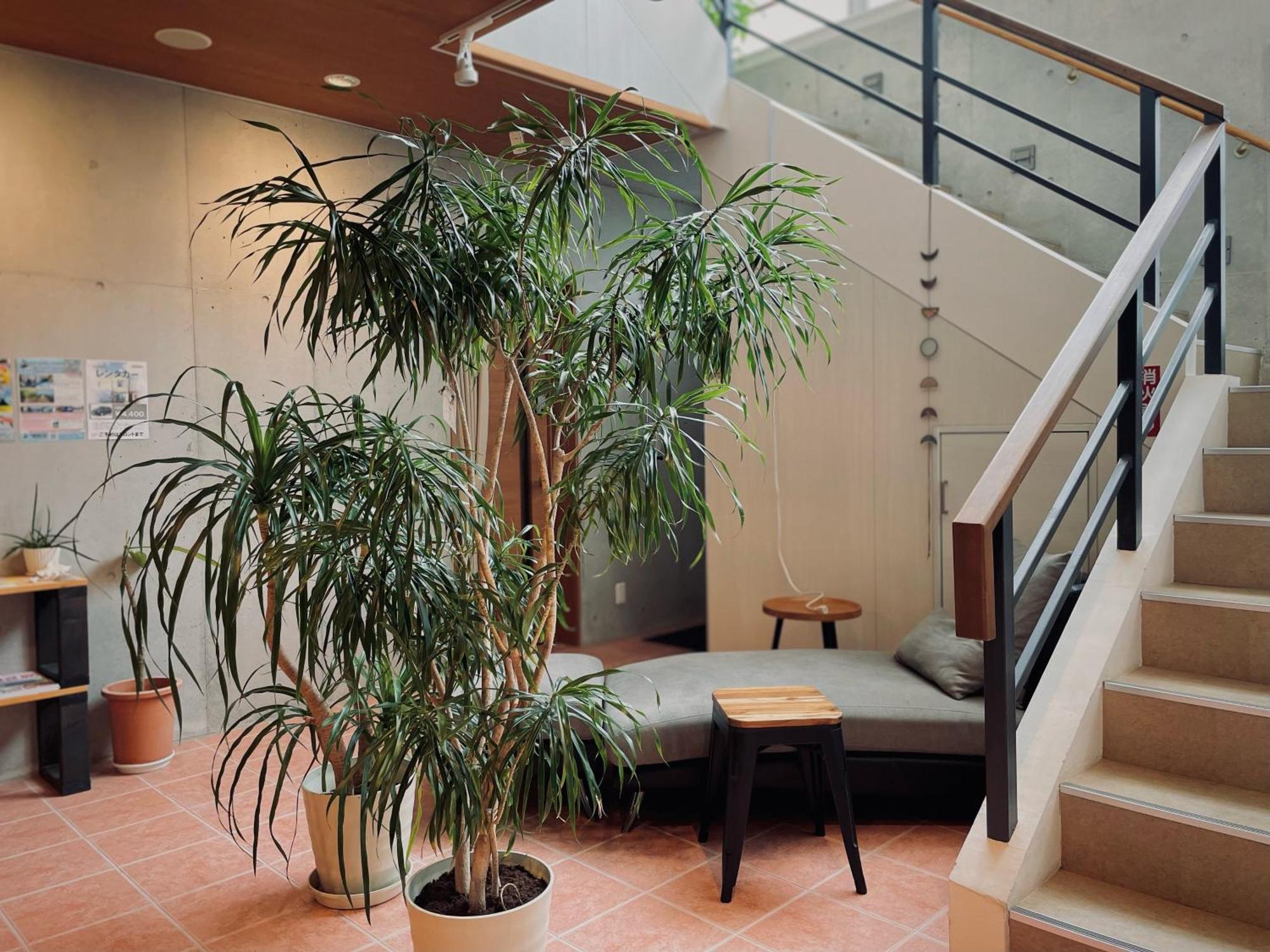 Hostel Sunterrace Ishigaki Ishigaki  Exterior photo